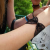 noeud_papillon_accessoire_bracelet_dentelle_noir