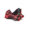 noeud_papillon_noeudiste_petit_Scottish_f