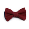 noeud_papillon_bleu_bordeaux_reversible 3_5-7