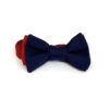 noeud_papillon_bleu_rouge 3_5-7