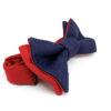 noeud_papillon_bleu_rouge 4_5-7