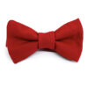 noeud_papillon_bleu_rouge 7_5-7