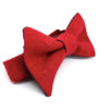 noeud_papillon_bleu_rouge 8_5-7
