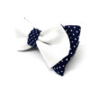 noeud_papillon_bleu_sur_blanc