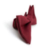 noeud_papillon_bordeaux 2_5-7