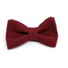 noeud_papillon_bordeaux_5-7
