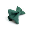 noeud_papillon_vert_sapin 2_5-7