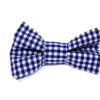 pince_croco_vichy_bleu_5-7